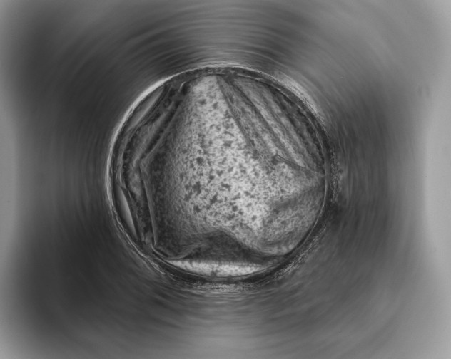 X0000093171076200710171224