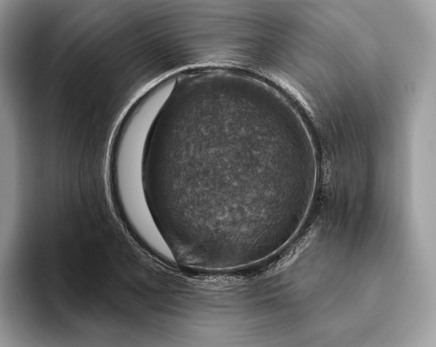 X0000093171077200710171224