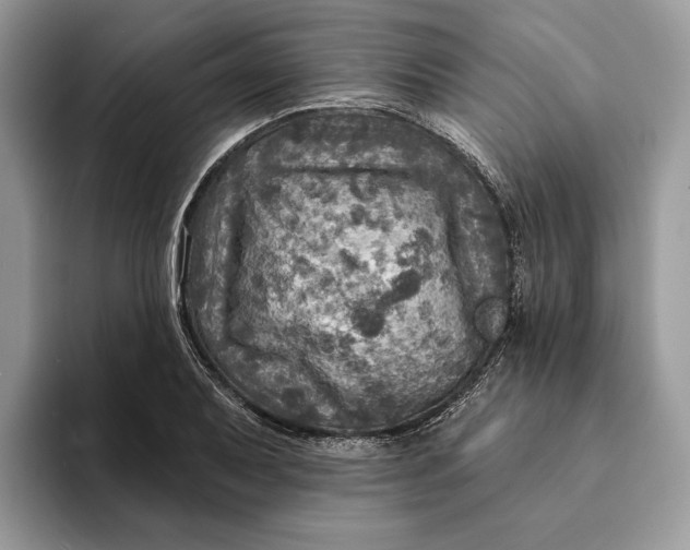 X0000093171079200710171224