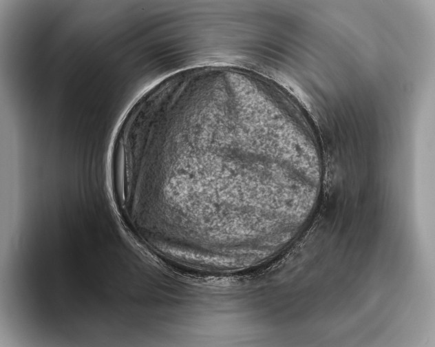 X0000093171080200710171224