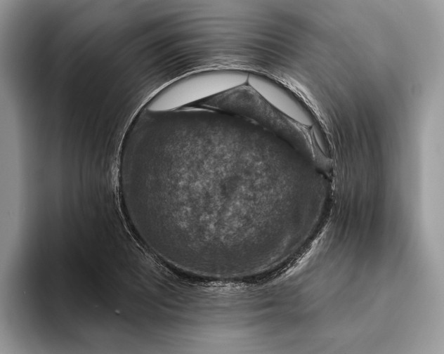 X0000093171081200710171224