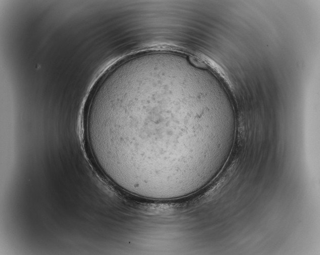 X0000093171082200710171224