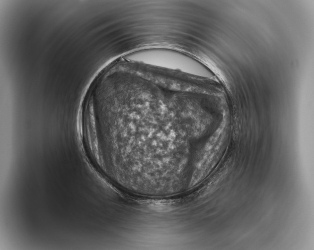 X0000093171084200710171224