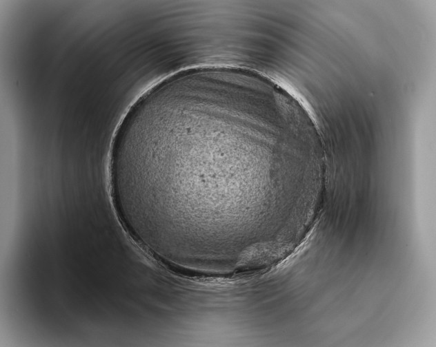 X0000093171085200710171224