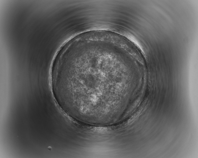 X0000093171088200710171223