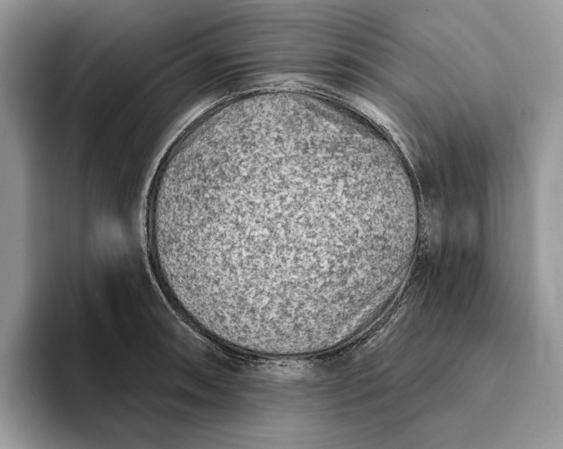 X0000093171090200710171223