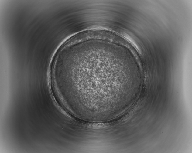 X0000093171092200710171223