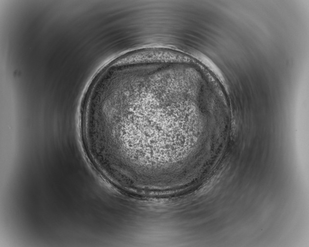 X0000093171096200710171223