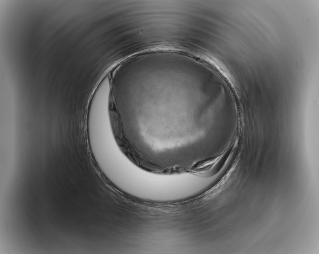 X0000093171097200710171223