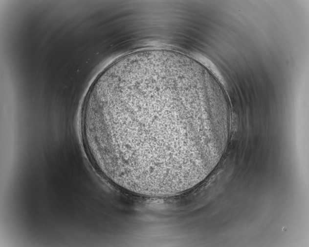 X0000093171098200710171223