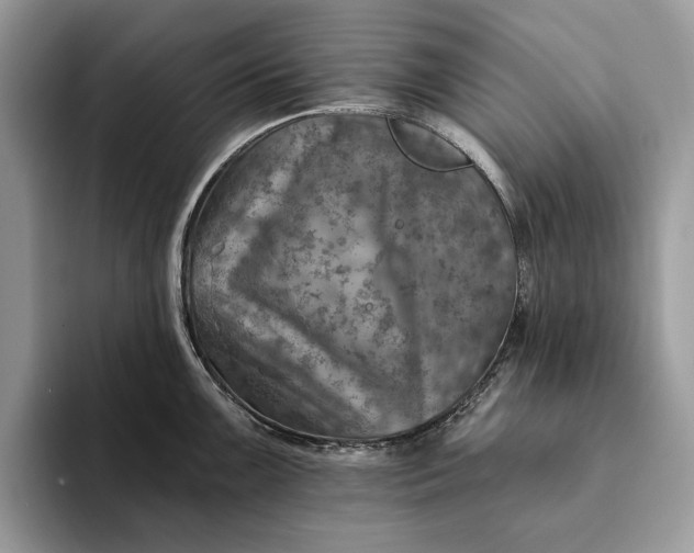 X0000093171099200710171223
