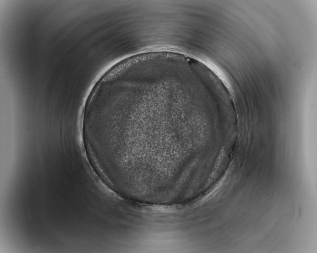X0000093171102200710171223