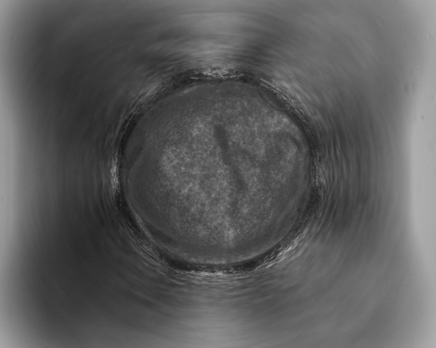 X0000093171106200710171223