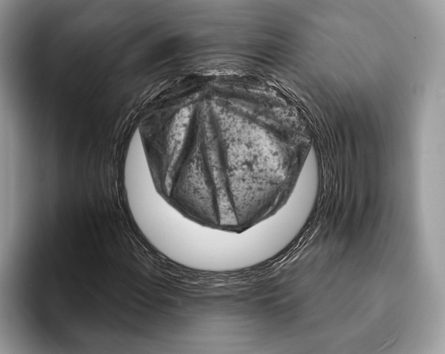 X0000093171108200710171223
