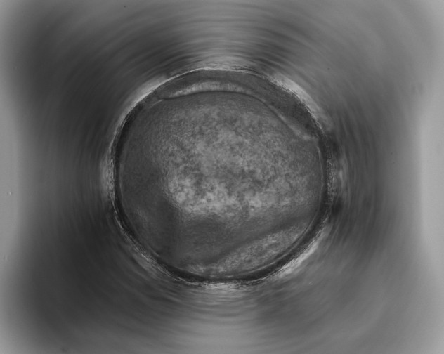 X0000093171114200710171223