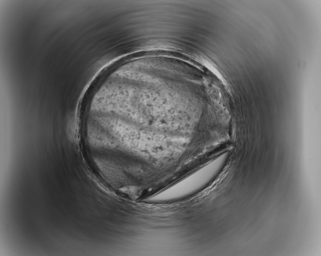X0000093171116200710171223