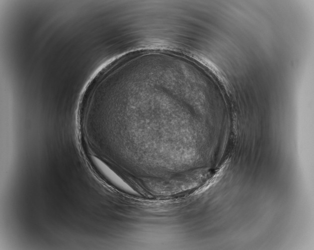 X0000093171120200710171223