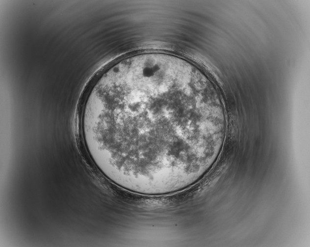 X0000093171125200710171223