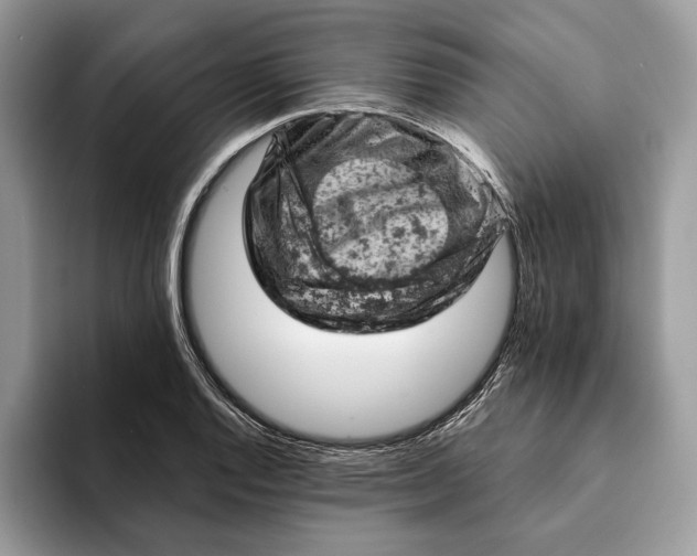 X0000093171128200710171223