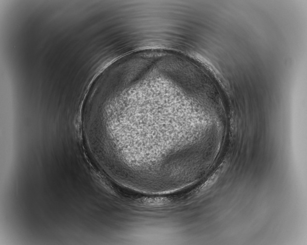 X0000093171129200710171223