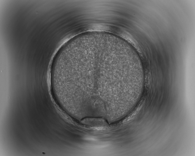 X0000093171130200710171223