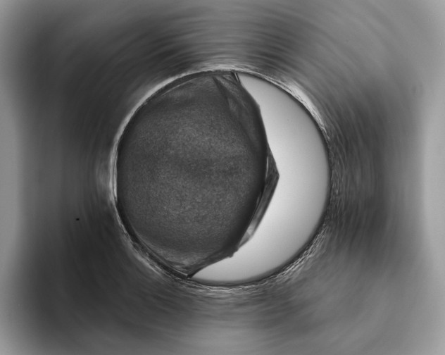X0000093171132200710171223