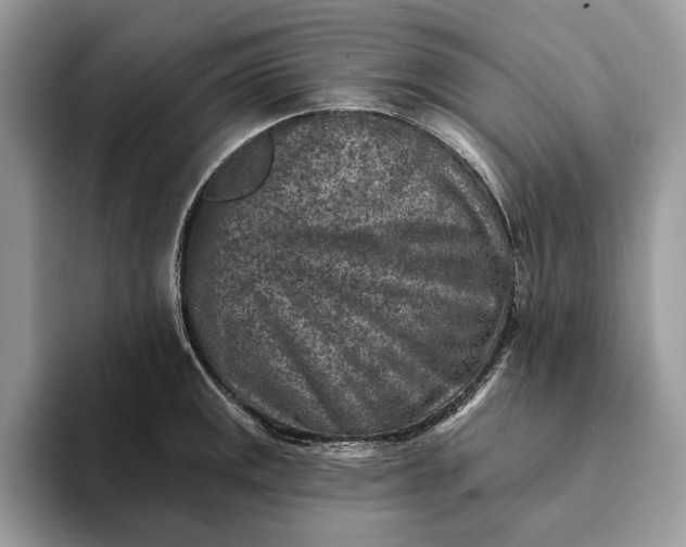 X0000093171141200710171223