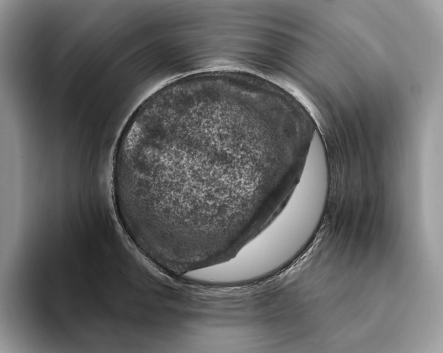 X0000093171142200710171223