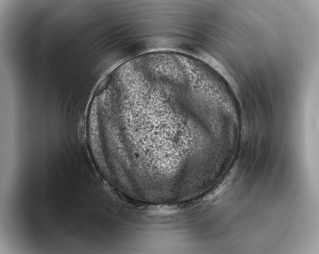 X0000093171145200710171223