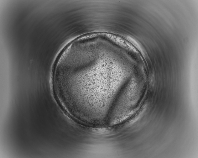 X0000093171149200710171223