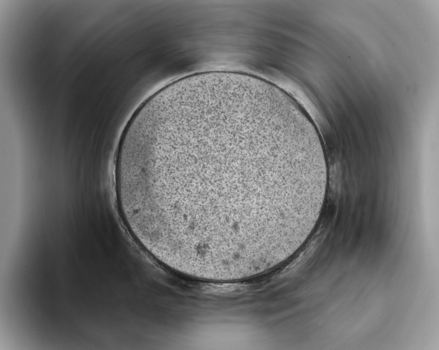 X0000093171150200710171223