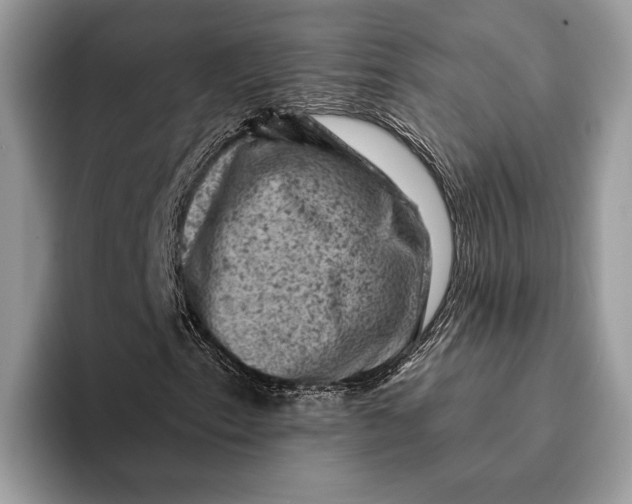 X0000093171153200710171223