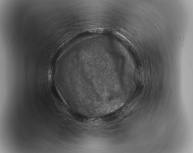 X0000093171154200710171223