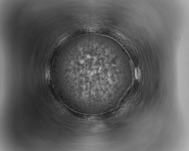 X0000093171155200710171223