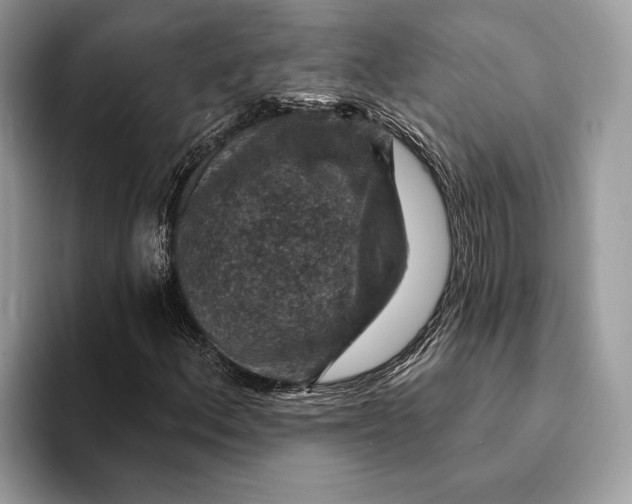 X0000093171156200710171223