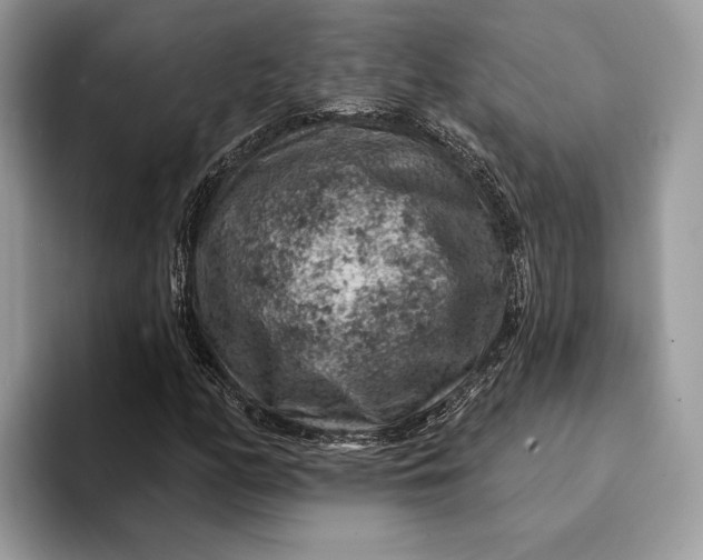 X0000093171158200710171223