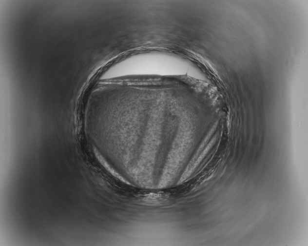X0000093171160200710171223