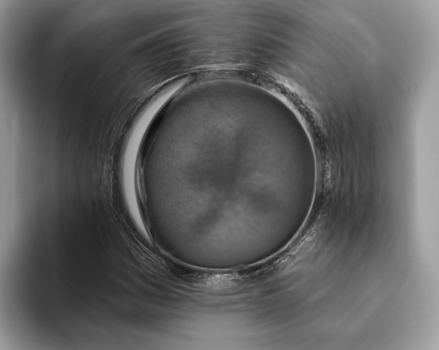 X0000093171161200710171223