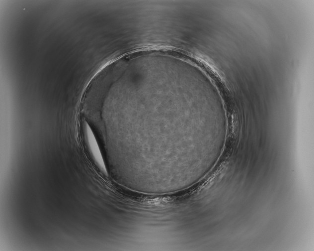 X0000093171165200710171223