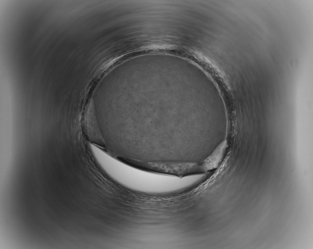 X0000093171169200710171223