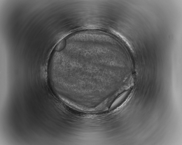 X0000093171170200710171223