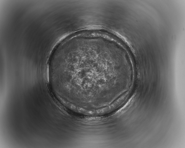 X0000093171171200710171223