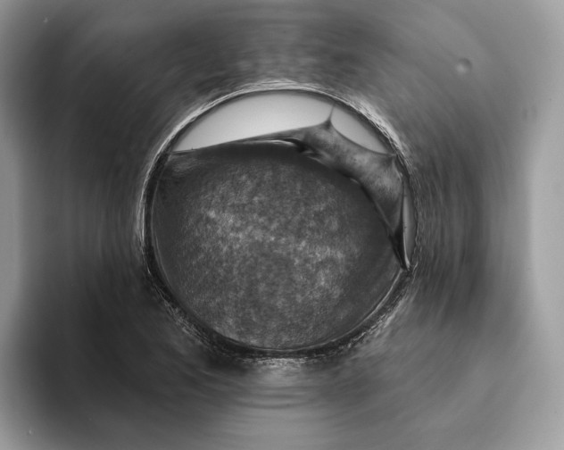X0000093171173200710171222