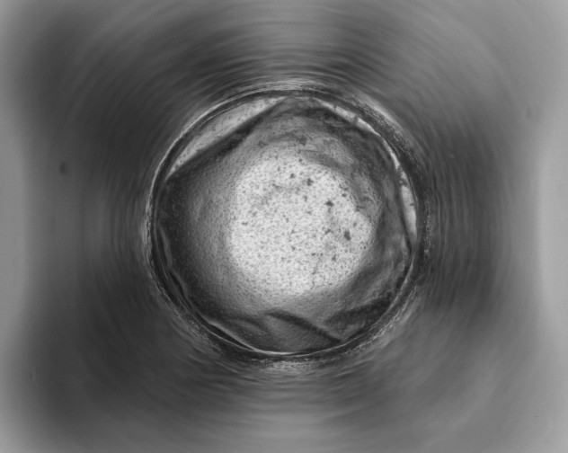 X0000093171178200710171222