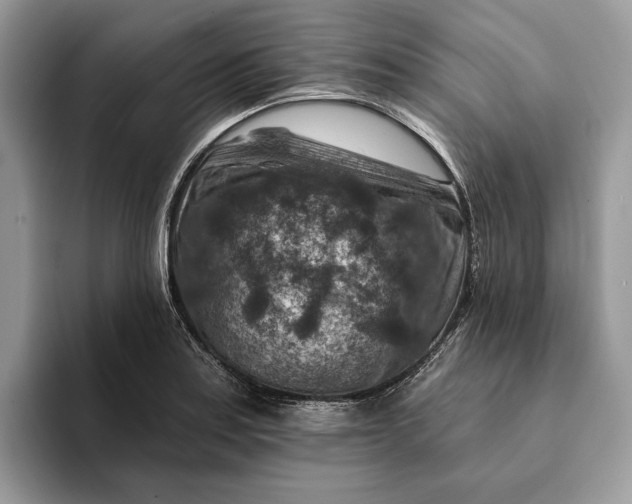 X0000093171179200710171222
