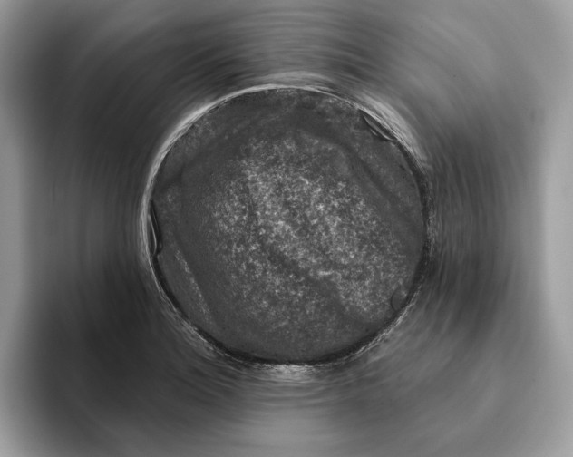 X0000093171180200710171222
