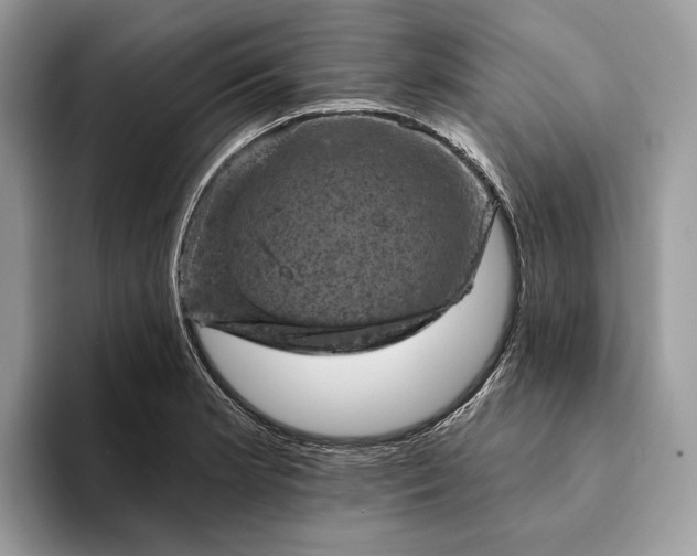 X0000093171181200710171222