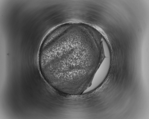 X0000093171183200710171222
