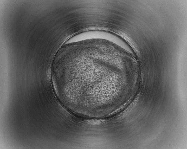 X0000093171185200710171222
