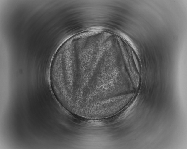 X0000093171194200710171222